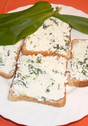 Medvehagymás krémsajt recept fotója