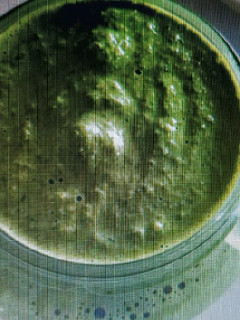 Una foto de Salsa pesto
