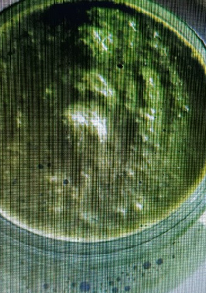 Una foto de Salsa pesto
