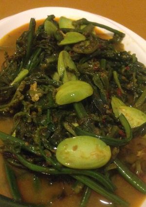 Foto resep Gulai Pakis Pete