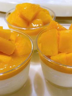 芒果鮮奶酪 的食譜成品照片