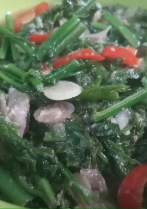 Foto resep Tumis Daun Pakis