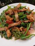 โสมไทยผัดน้ำมันหอย เมนูเพื่อสุขภาพ  Stir-Fried Water Leaves