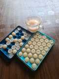 Puding biskuit