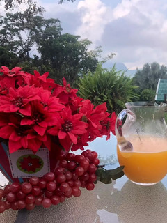 Una foto de Jugo de tomate de árbol