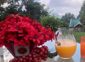 Una foto de Jugo de tomate de árbol