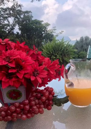 Una foto de Jugo de tomate de árbol
