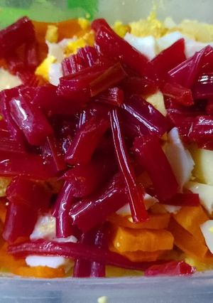 Una foto de Pickles de pencas de remolacha