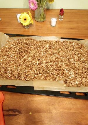 A picture of Granola.