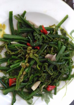 Foto resep Tumis Pakis