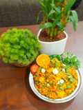 પાવભાજી ખીચડી(Paavbhaji khichadi In Gujarati)