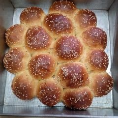 A picture of Buns.