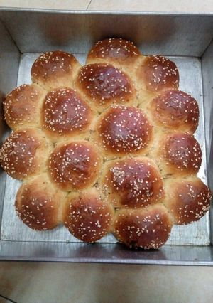 A picture of Buns.
