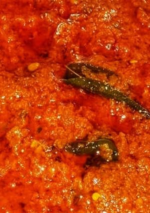A picture of Tamatar pyaz ki chutney.