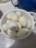 Telur Puyuh Rebus