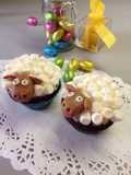 Muffins al cioccolato o pecorelle?