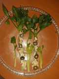 Mayo Salad in Celeriac