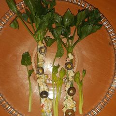 Mayo Salad in Celeriac A picture of Mayo Salad in Celeriac.