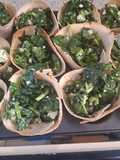 Salad... Spanakopita in Pita Baskets