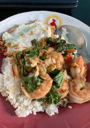 รูปของ กะเพรากุ้ง+ไข่ดาว