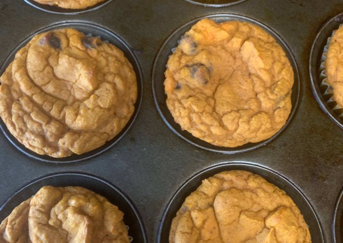 Protein Pumpkin Muffins