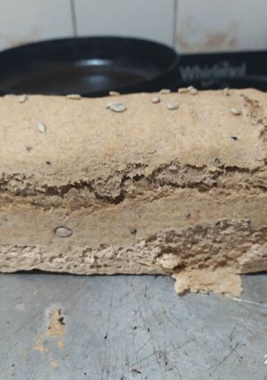 Una foto de Pan lactal integral 🍞🥪