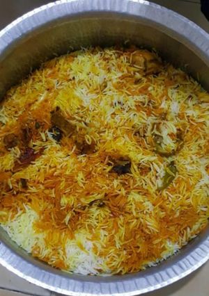 A picture of Degi biryani.