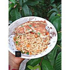 A picture of Stir fry noodles.