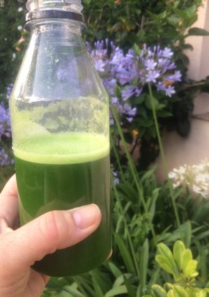 Una foto de Jugo onda "green power"