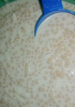A picture of Plomb Pudding.