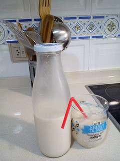 Una foto de Horchata casera