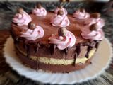 Torta de mousse de chocolate y mousse de dulce de leche