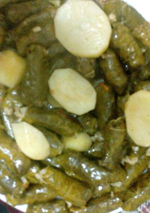A picture of Stuffed Grape Leaves (Yalanji).