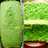 Cake/Bolu Kelapa Pandan