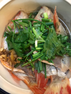 Foto resep Tim ikan nila