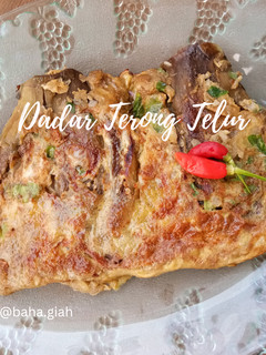 Foto resep Dadar Terong Telur