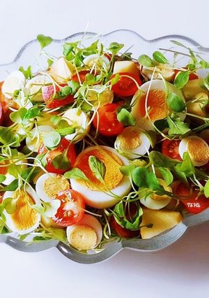 Hình của món SALAD rau mầm với trứng.