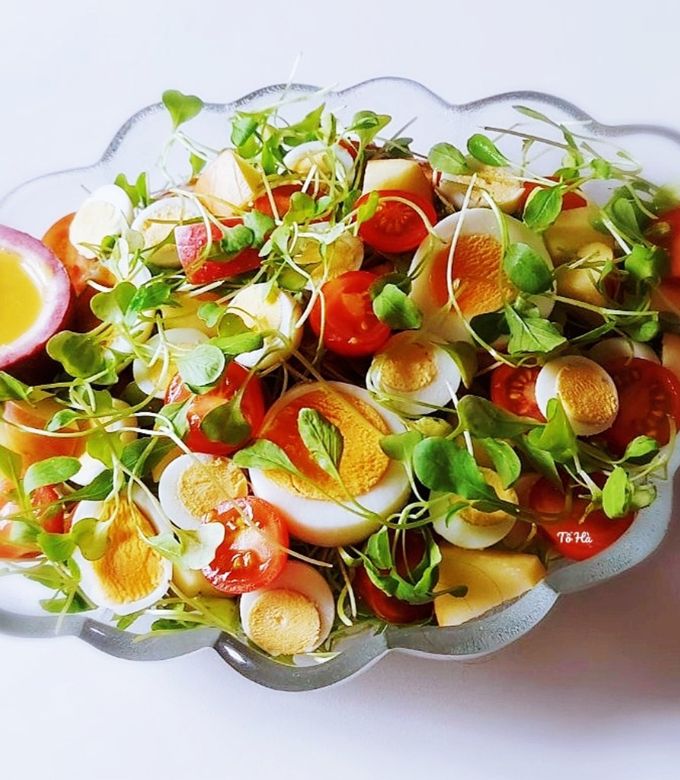 CÁCH LÀM SALAD RAU MẦM TRỨNG NGON TUYỆT VỚI VỊ GIÒN CỦA RAU KẾT HỢP TRỨNG BÉO NGẬY