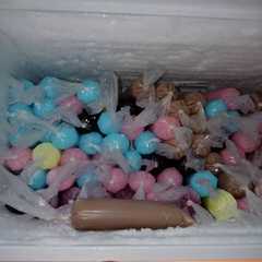 รูปของ Es mambo pop ice