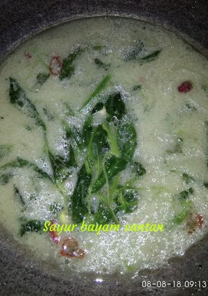 Foto resep Sayur bayam santan ala ala bundagibran