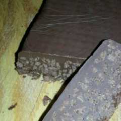 Una foto de Turrón de chocolate casero