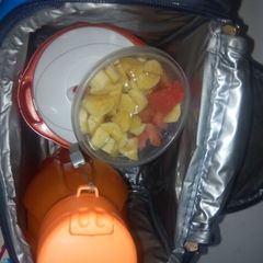 A picture of Porridge yam.