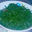Sukuma wiki and Spinach