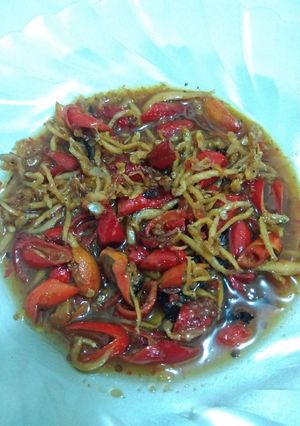 Foto resep Teri Melinjo Bejo