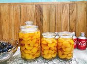 Hình ảnh của trà đào