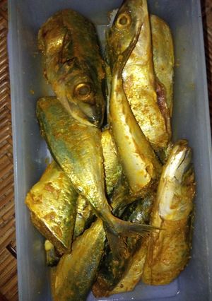 Foto resep Frozen salmon lokal bumbu marinasi