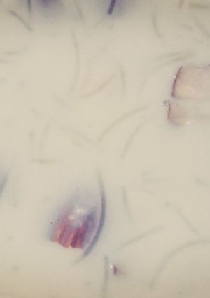A picture of Firni.