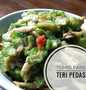 Resep Tumis Pare Teri Pedas yang Lezat