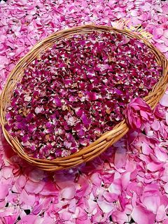 عکسی از دستور گل محمدی خشک