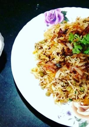 A picture of Veg Biryani.